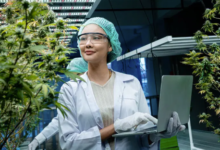 The Green Revolution in Dispensary Cannabis