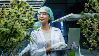 The Green Revolution in Dispensary Cannabis