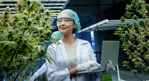 The Green Revolution in Dispensary Cannabis