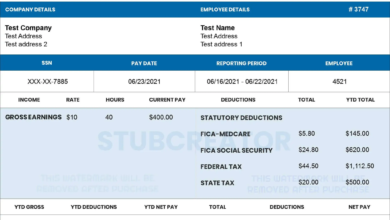 How to Customize a Pay Stub Template for Any Industry