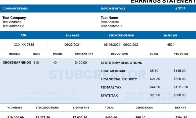 How to Customize a Pay Stub Template for Any Industry