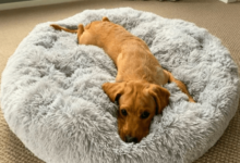 Waterproof Dog Bed Cover The Best Bed Cover for Pets That Keeps Your Home Clean (1)