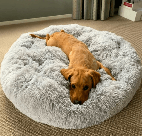 Waterproof Dog Bed Cover The Best Bed Cover for Pets That Keeps Your Home Clean (1)