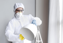 Mold Testing vs Mold Inspection: Which One Do You Actually Need First?