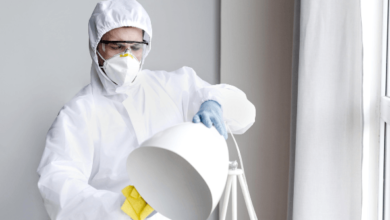 Mold Testing vs Mold Inspection: Which One Do You Actually Need First?