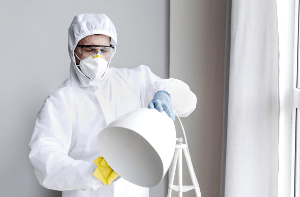 Mold Testing vs Mold Inspection: Which One Do You Actually Need First?