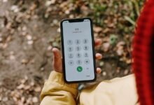 phone number overview today