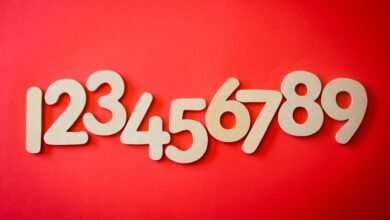 phone number reference details attached