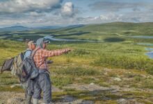 ultimate guide expert tips revealed